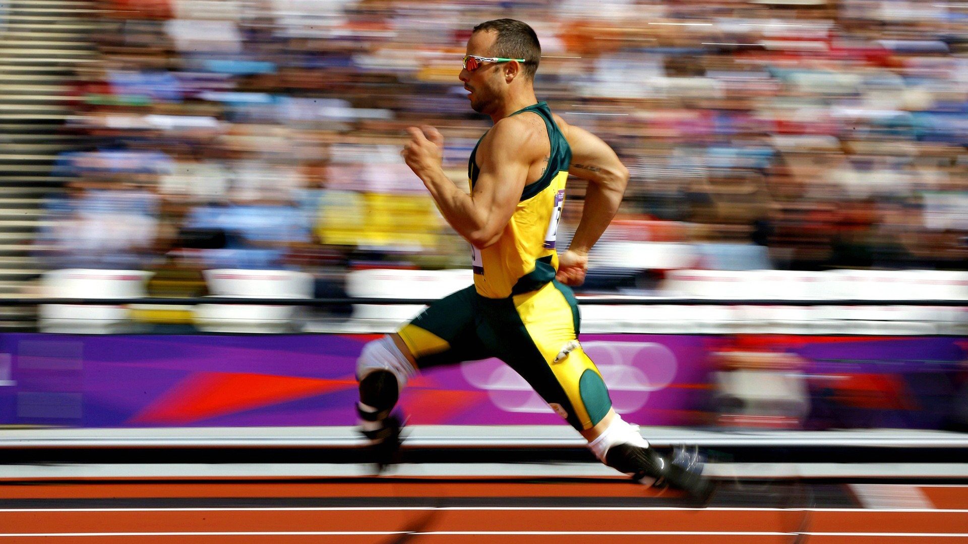 九游网页版官网入口-观众席上的欢呼声，展现运动激情，观众们的欢呼声